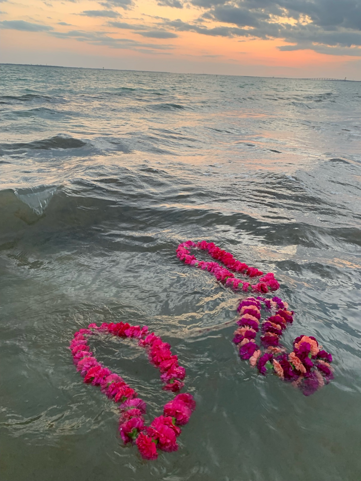 Pink flower leis floating in the ocean at sunset