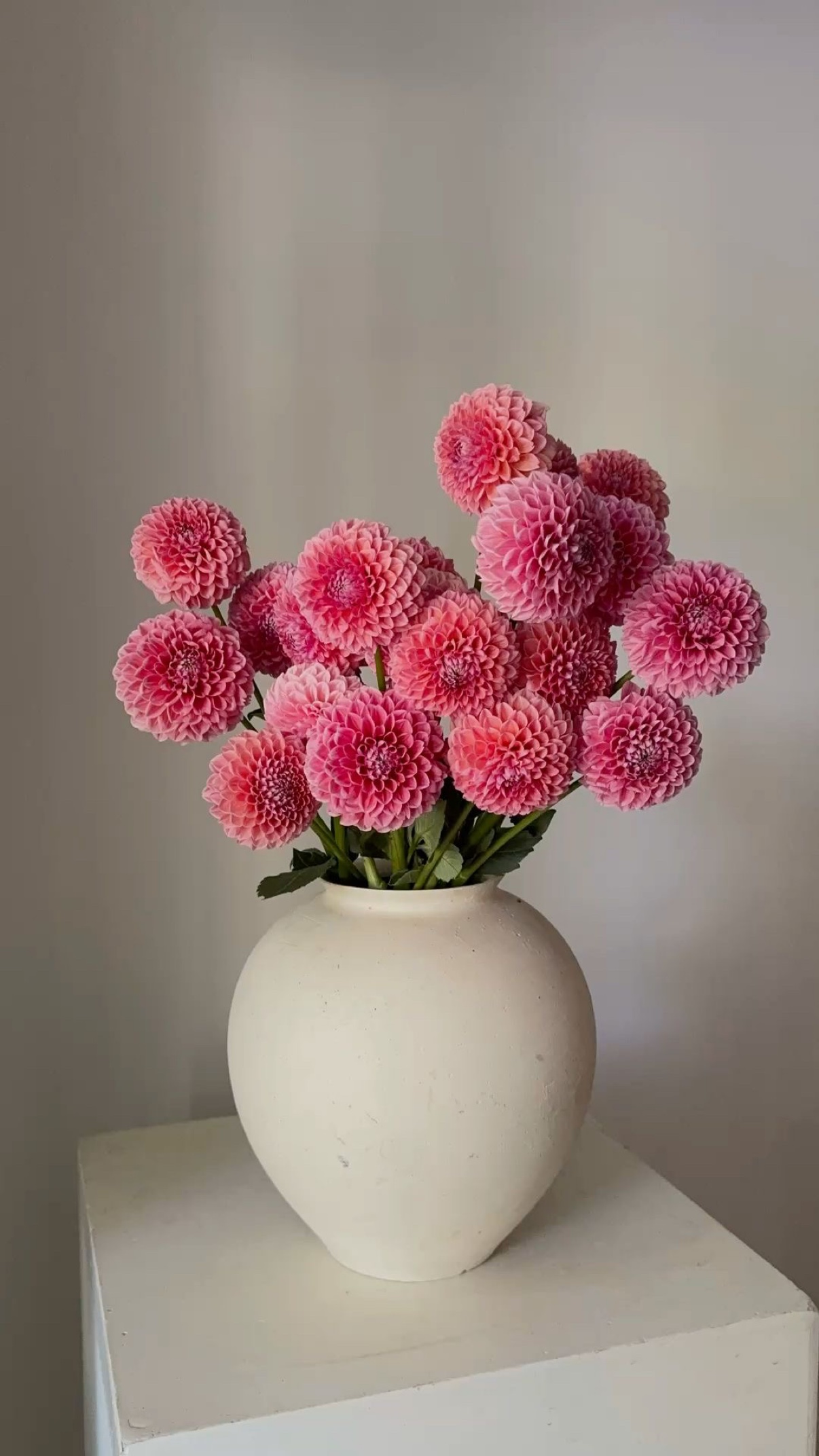 Dahlia arrangement